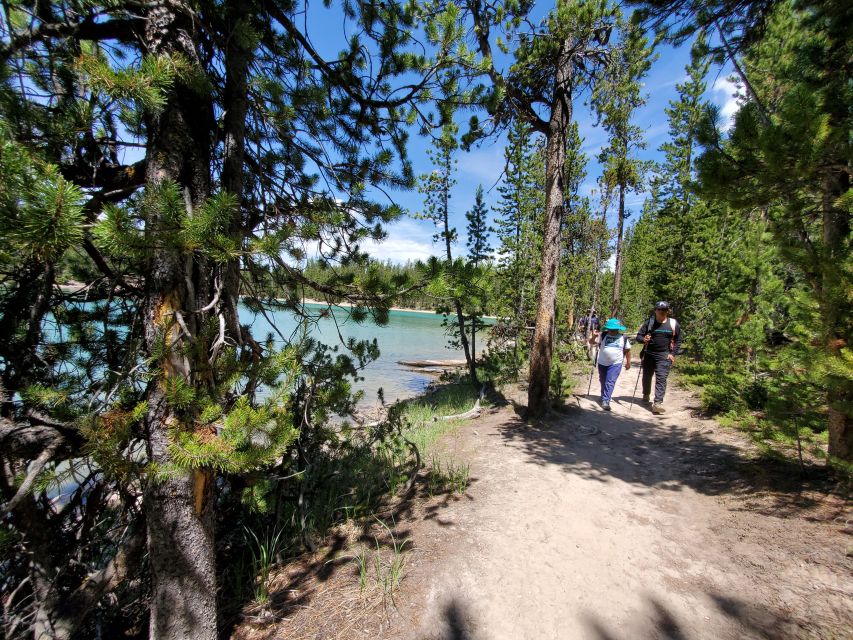 Grand Canyon of the Yellowstone: Loop Hike With Lunch - Exploring the Grand Canyon