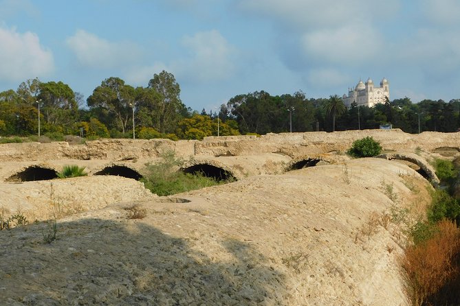 Guided Bike Tour of Carthage Archeological Site in Tunisia - Physical Fitness Requirement