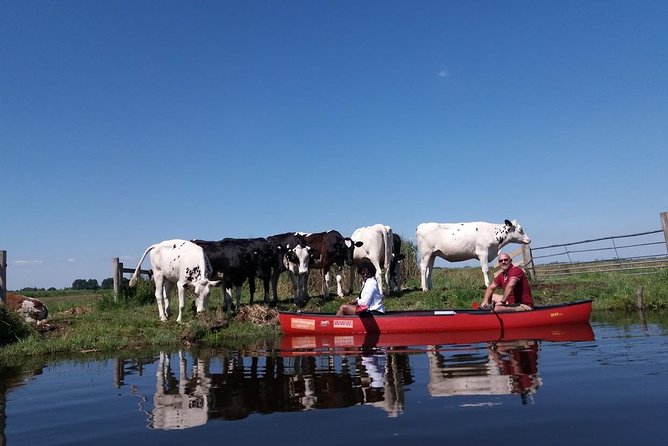 Guided Canoe Adventure With Picnic Lunch in Waterland From Amsterdam - Booking and Reservations