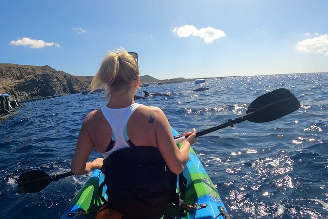 Guided Kayak Tour From Los Cristianos Beach Tenerife - Reviews and Ratings