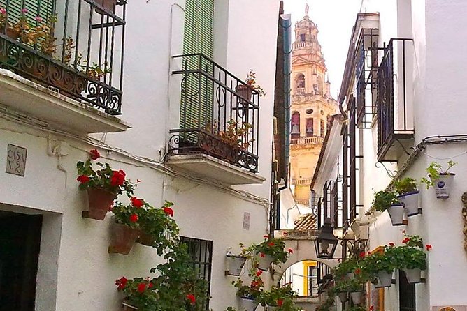 Guided Tour of the Jewish Quarter and Mosque-Cathedral of Córdoba With Tickets - Additional Details