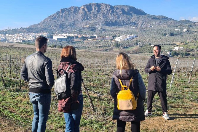 Guided Visit to a Pretty Vineyard&Cellar 6 Wines Tasting & Tapas - Participant Information