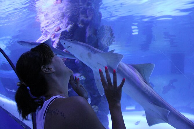 Half Day Antalya Aquarium Tour And Wax Museum - Location and Accessibility