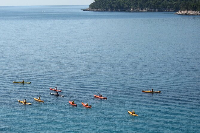 Half Day Guided Zaton Bay Kayak, Swim, and Snorkel Tour in Dubrovnik - Additional Tips