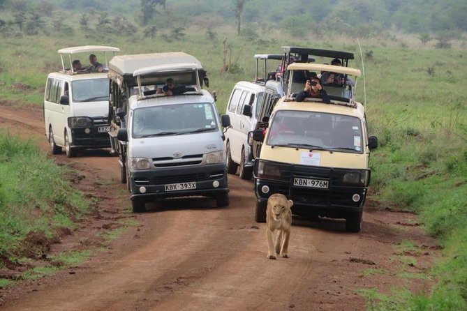 Half-Day Nairobi National Park Safari From Nairobi With Free Pickup - Safari Experience