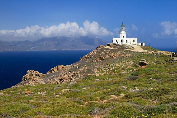 Half Day Private Tour Island With a Local in Mykonos - Local Dining Recommendations