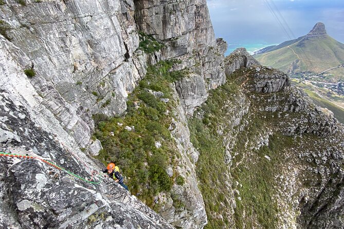 Half-Day Rock-Climbing on Table Mountain - Guided Experience and Tour Highlights