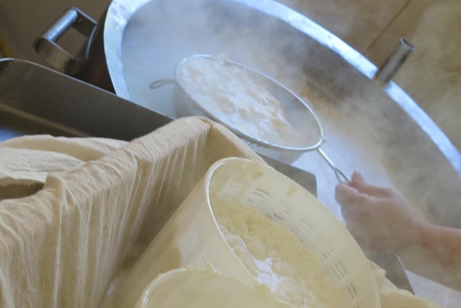 Halloumi Heaven: Cheese-Making Class & Troodos Mountain Villages 8h - Group Size and Accessibility Information