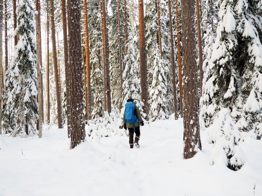 Helsinki: Winter Wonderland Liesjärvi National Park Hike - Wilderness Guide and Equipment Provided