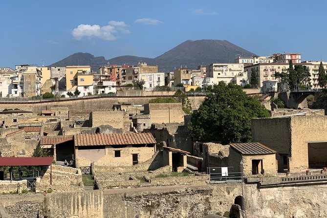 Herculaneum Guided Tour With Your Archaeologist - Accessibility and Transportation