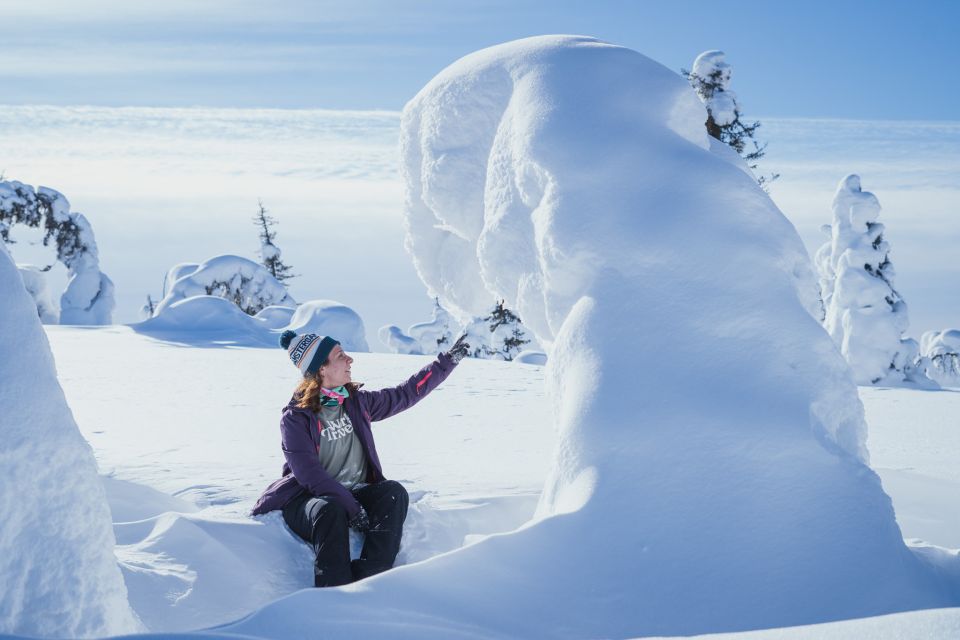 Hiking in Riisitunturi National Park With Photographer - Booking and Cancellation