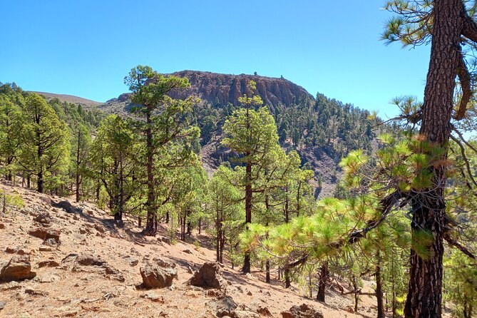 Hiking in Tenerifes Great Outdoors - Cancellation Policy Details