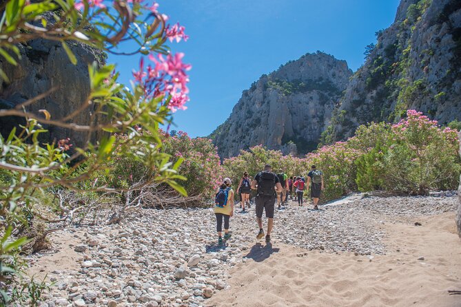 Hiking to Cala Luna, the Pearl of the Gulf of Orosei - Maximum Tour Group Size