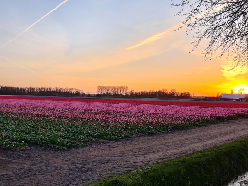 Hillegom: Guided E-Bike Tour at Sunset Near Keukenhof - Cycle on Powerful E-Bikes