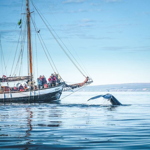 Húsavik: Whale Watching by Traditional Wooden Sailing Ship - Weather Conditions