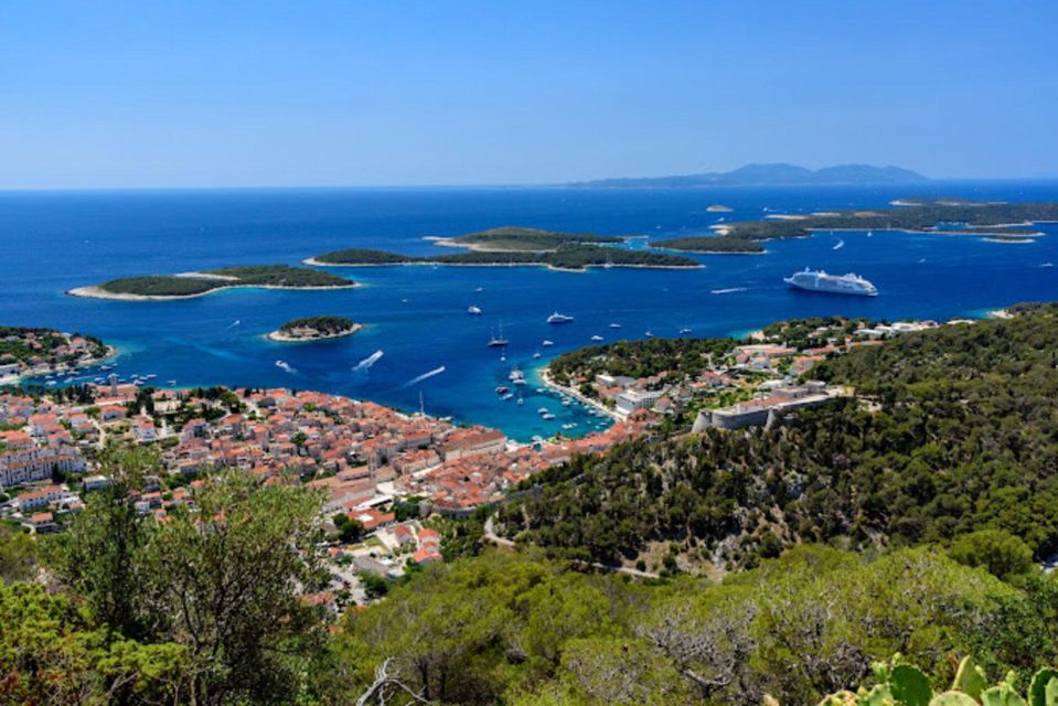 Hvar: Island Tour With Wine & Olive Oil Tasting - Duboković Winery