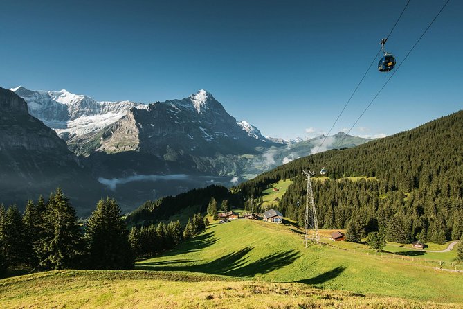 Interlaken and Grindelwald Day Trip From Lucerne - Recommendations and Considerations