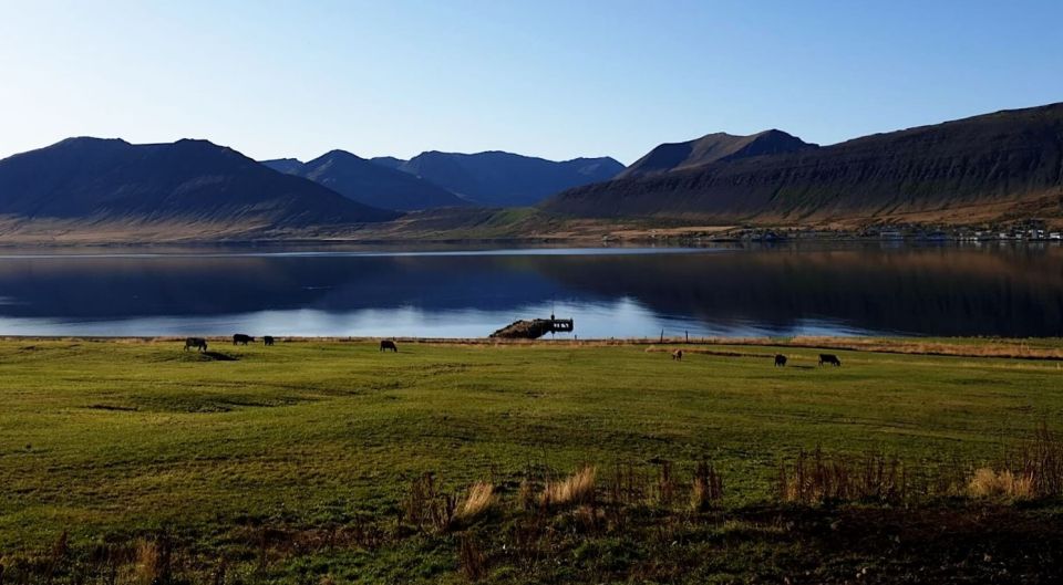 Isafjordur: Dynjandi Waterfall Tour and Icelandic Farm Visit - Refreshments and Icelandic Cake