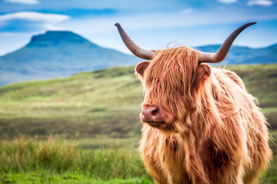 Isle of Skye & the Highlands: 3-Day Guided Tour From Glasgow - Itinerary and Inclusions