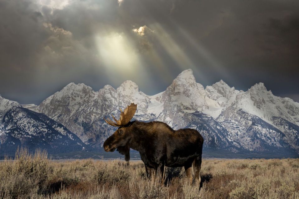 Jackson: Grand Teton & Native American Petroglyph Tour - Tour Difficulty and Restrictions