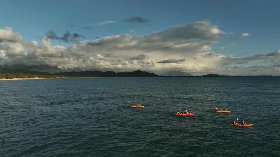 Kailua, Oahu: Popoia Island & Kailua Bay Guided Kayak Tour - Age and Vehicle Requirements