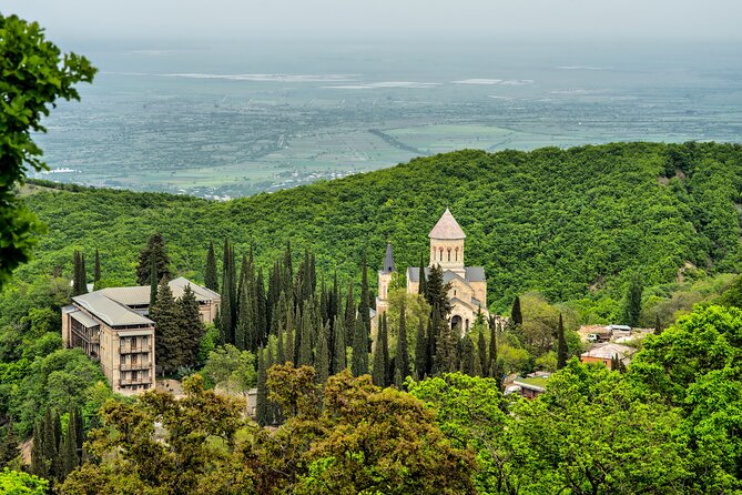 Kakheti One Day Tour - Local Cuisine and Drinks