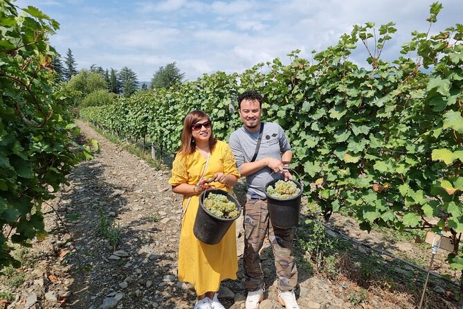 Kakheti - Small Wineries and Family-Cooked Lunch - Logistical Information and Accessibility