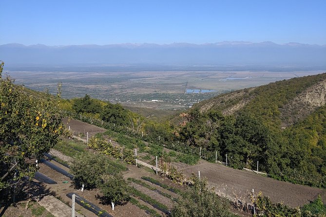 Kakheti Wine Tour · Full Day Private Tour · Trending Georgia - Tour Reviews