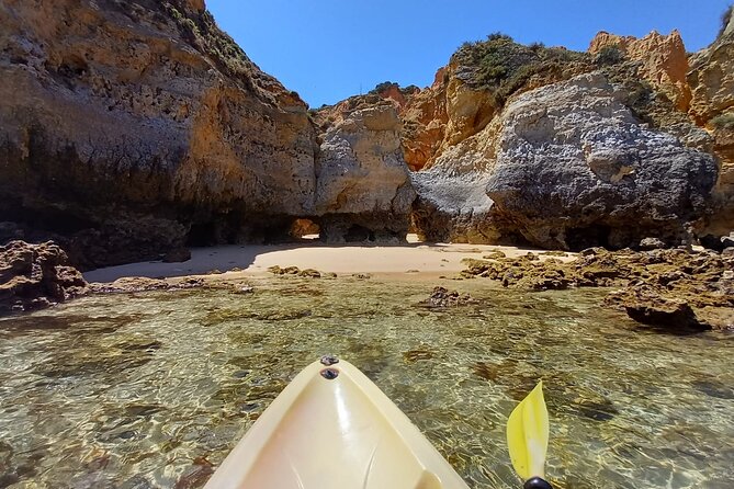 Kayak Adventure Through the Ponta Da Piedade Caves in Lagos - Preparing for the Kayak Adventure