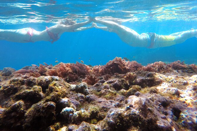 Kayak and Snorkeling Tour in Underwater Nature Reserve Garajau - Additional Information