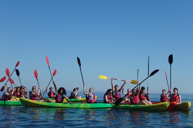 Kayak Tour of Lisbon - Snacks and Refreshments