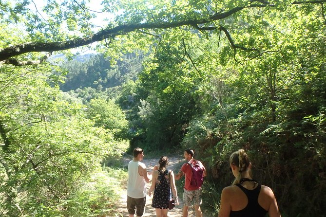 Kayaking and Waterfall in Peneda-Gerês National Park From Porto - Group Size and Age Range