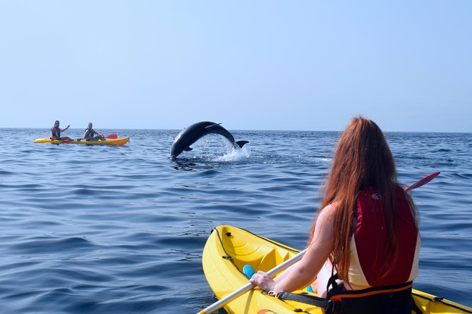 Kayaking With Dolphins and Turtles and Snorkelling in Tenerife - Tour Duration and Highlights