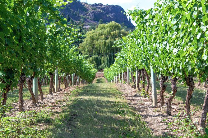 Kelowna or West Kelowna Afternoon Sightseeing Wine Tour - Additional Tour Information