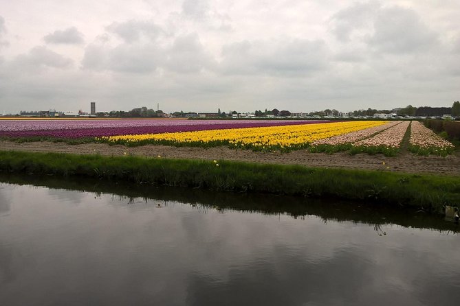 Keukenhofs Tulips and Windmills Small-Group Tour From Amsterdam - Additional Tour Information