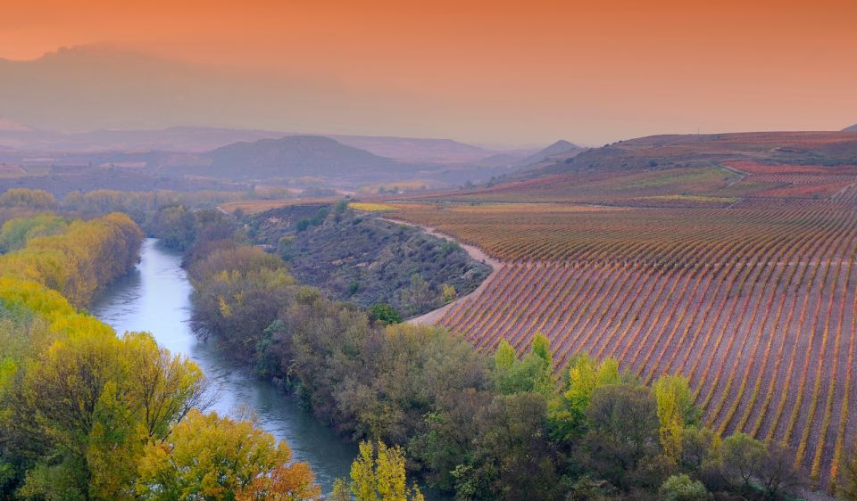 La Rioja Vineyards Private Tour From Bilbao (3 Vineyards) - Wine Tastings and Local Delicacies