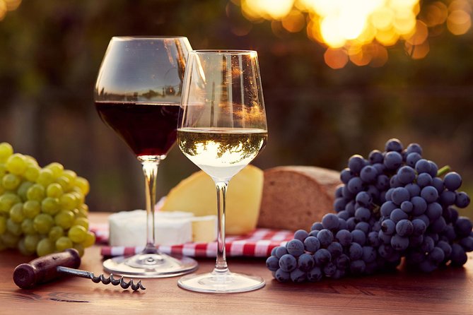 Lebanon Wine Tasting Tour From Beirut - Pricing and Availability