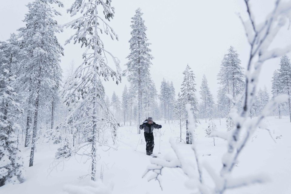 Levi: Backcountry Skiing Adventure - Capturing Memorable Moments