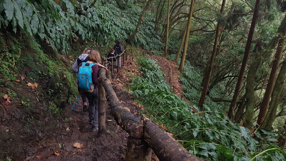 Lomba De São Pedro: Waterfall Hiking Tour With Tea Tasting - Lomba De São Pedro Trail