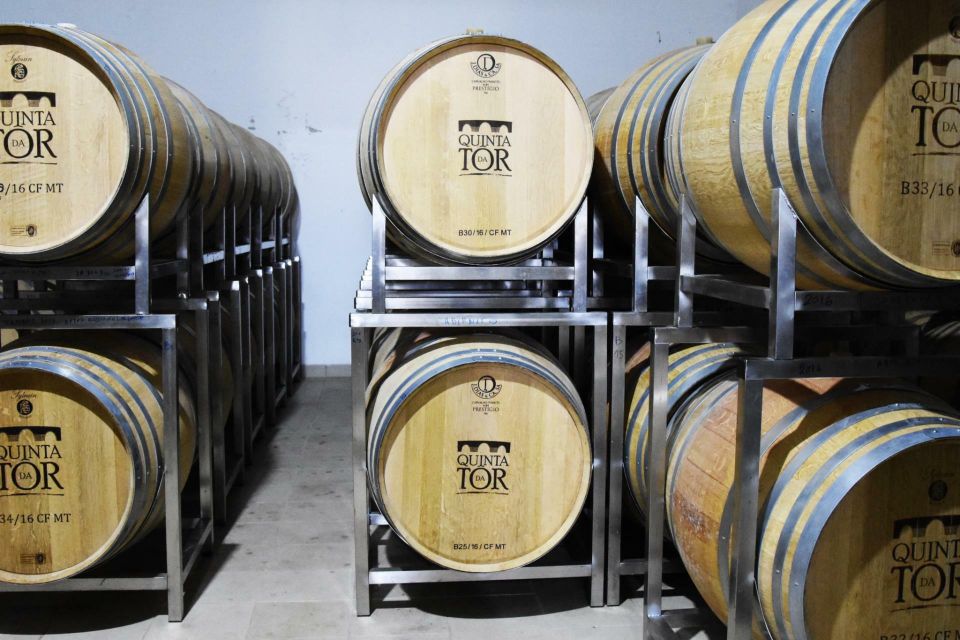 Loulé: Quinta Da Tôr Winery Guided Tour and Wine Tasting - Customer Feedback Highlights