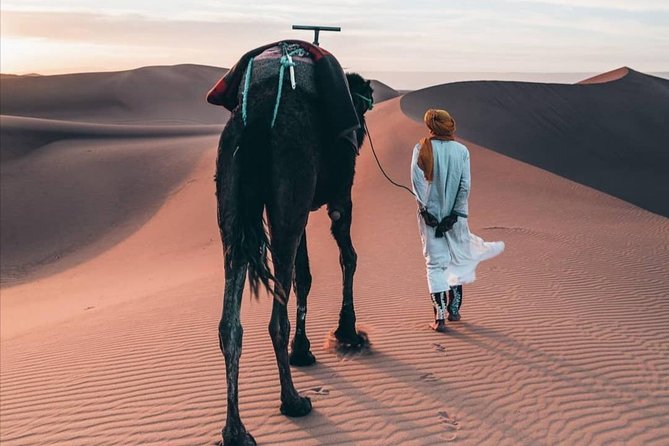 LUXURY Camp 3 Days Desert Trip Marrakech to Merzouga & Camel Trek - Key Highlights of the Experience