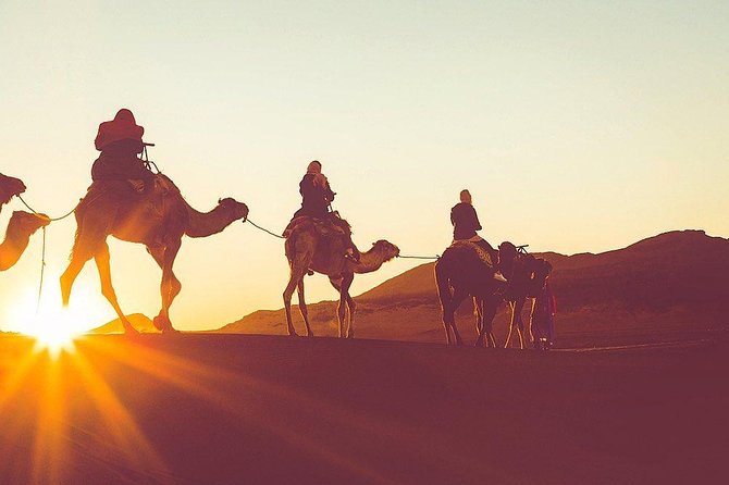 Luxury Overnight Sahara Desert Trip Fez Back to Fez or Marrakech - How to Book