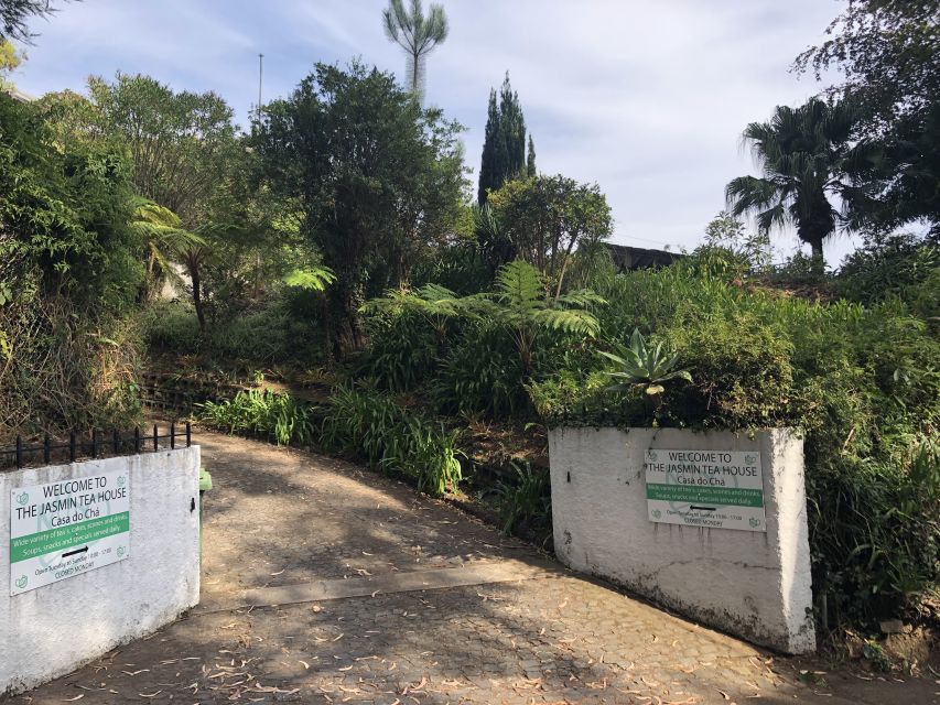 Madeira: Guided and Private Tour of Jasmine Tea House - Tea and Scone Experience