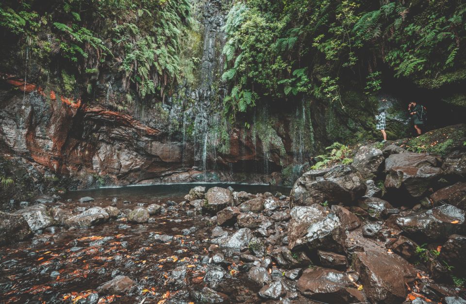 Madeira: Rabaçal Valley and the 25 Fountains Hike. - Customer Ratings and Reviews