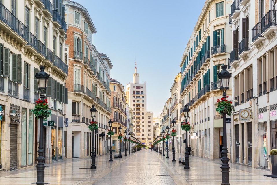 Malaga: Private City Tour With Theater and Cathedral Tickets - Visit the Malaga Cathedral