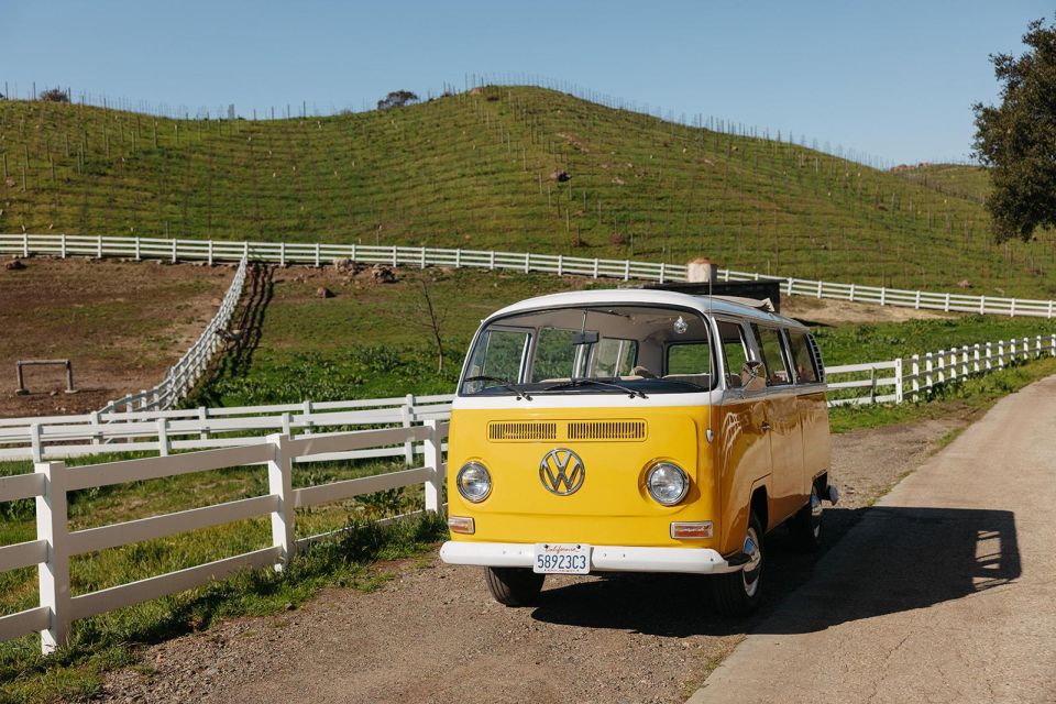 Malibu: Vintage VW Bus and Vineyard Tour - What to Bring