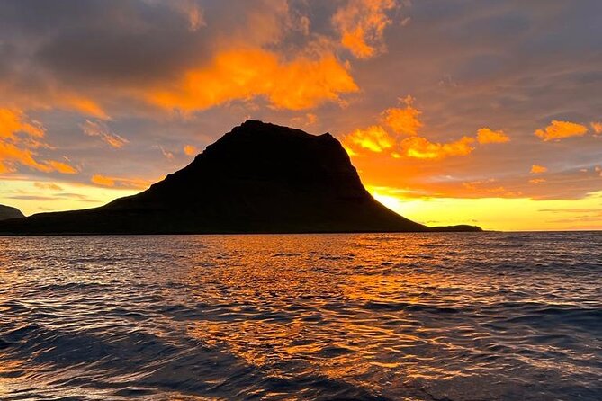 Midnight Sun Kayaking Adventure by Mt. Kirkjufell - Wildlife Spotting Opportunities