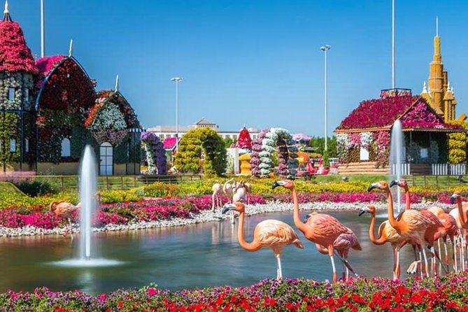 Miracle Garden Dubai Including Pickup & Drop Off - Experience Highlights