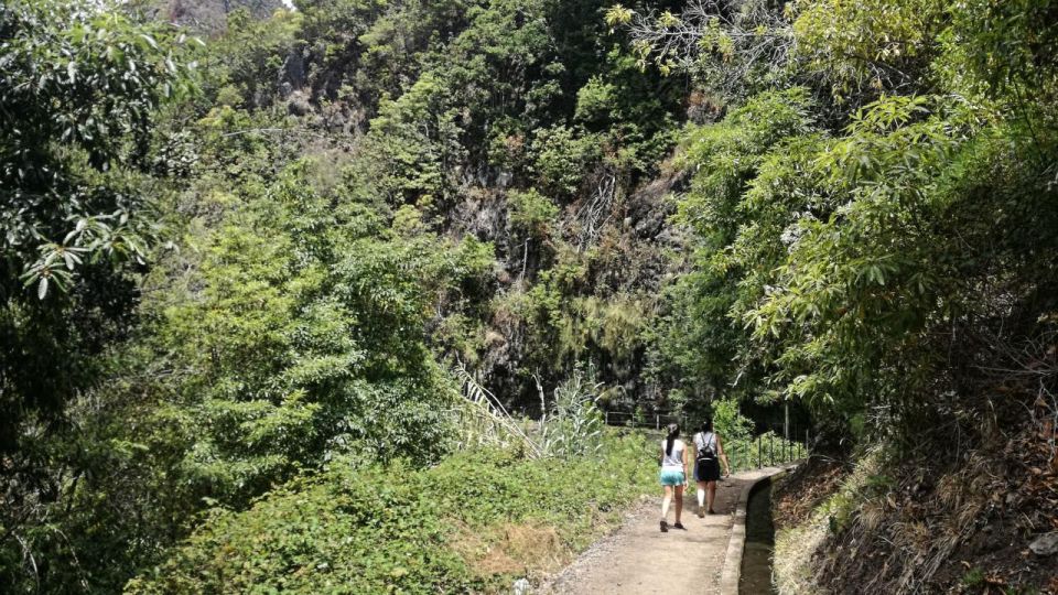 Moinhos Levada: Roundtrip Transfer & Hike - Ponta Do Sol Visit