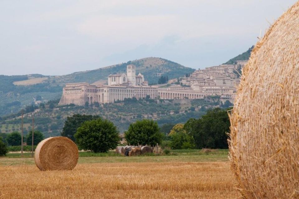 Montepulciano Wine Tasting and Assisi Private Day Tour - Explore Assisis Medieval Town